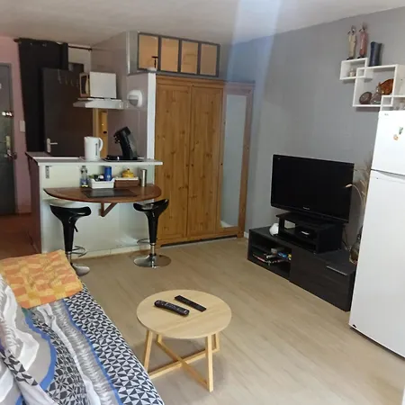 Apartment Ensoleille Avec Balcon